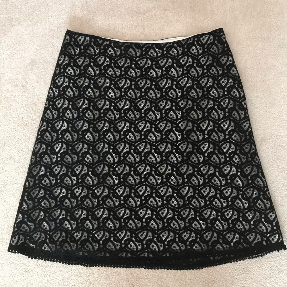 Ann Taylor Lace Skirt
